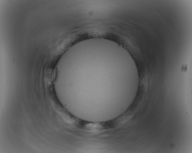 X0000111600133200908061423