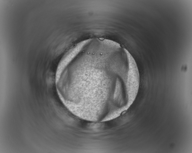 X0000111600135200908061423