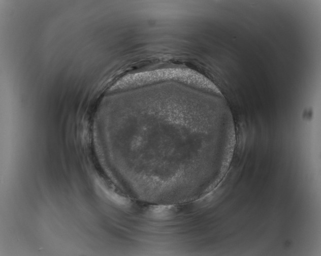 X0000111600136200908061423