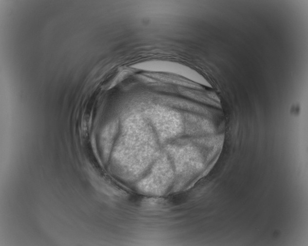 X0000111600137200908061423