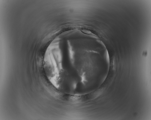 X0000111600139200908061423