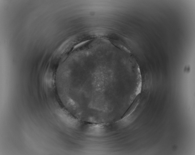 X0000111600140200908061423