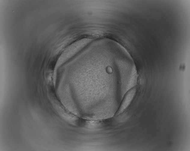 X0000111600141200908061423