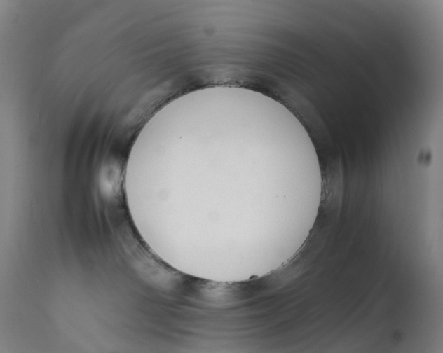 X0000111600142200908061423