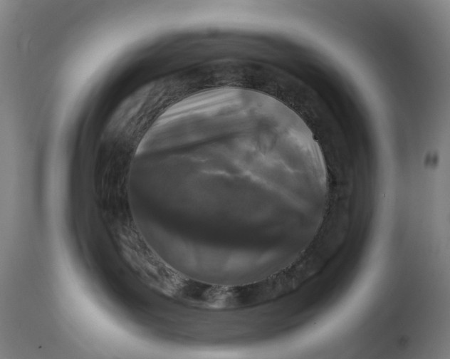X0000111600143200908061423