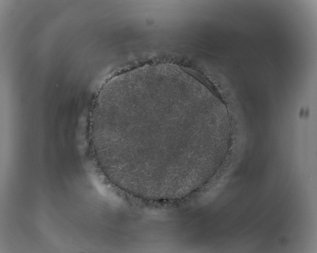 X0000111600144200908061423