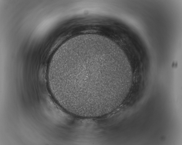 X0000111600146200908061422