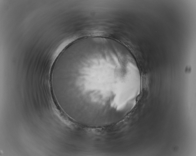 X0000111600147200908061422