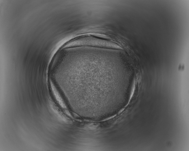 X0000111600148200908061422
