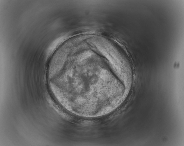 X0000111600149200908061422