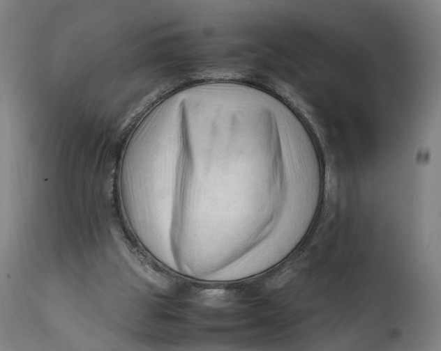 X0000111600153200908061422