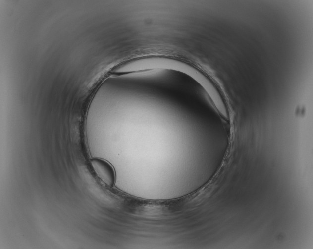X0000111600154200908061422