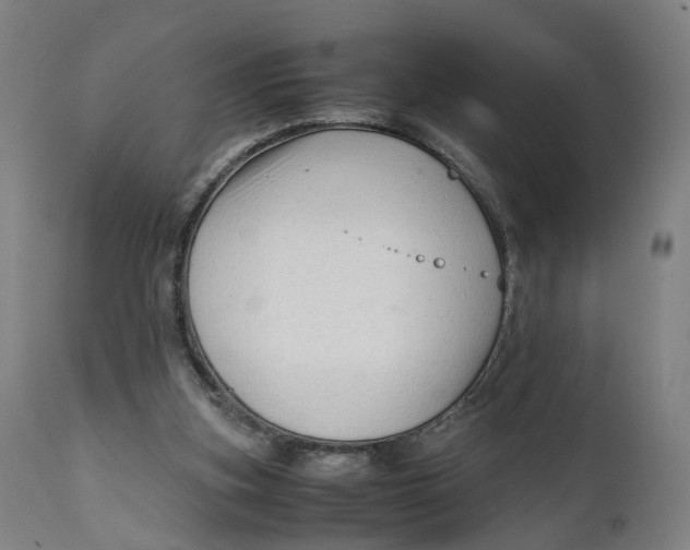 X0000111600155200908061422