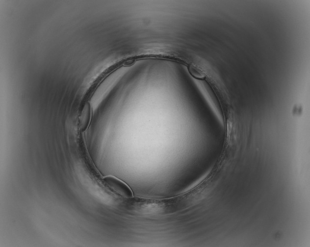 X0000111600156200908061422