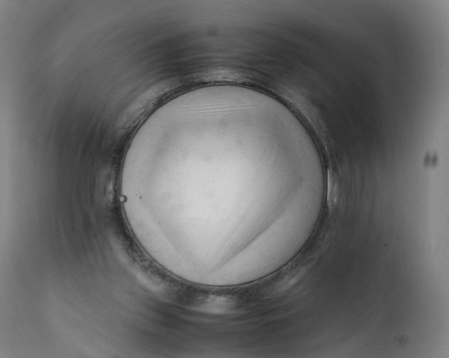 X0000111600157200908061422