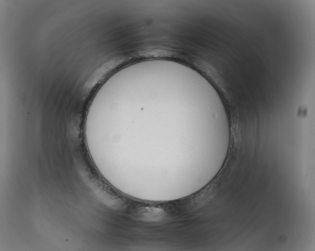 X0000111600159200908061422