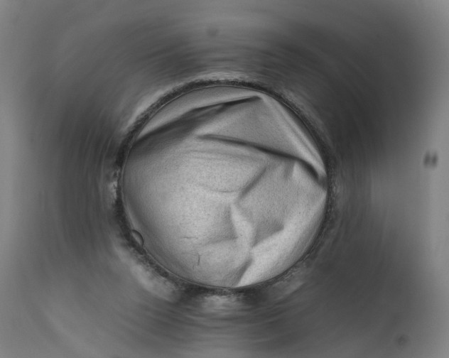 X0000111600160200908061422