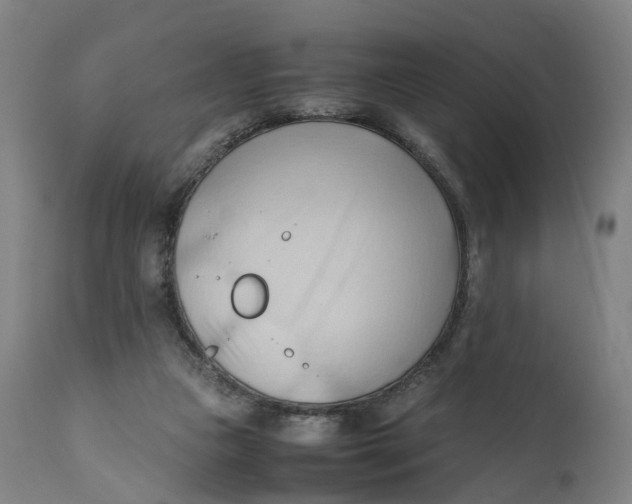 X0000111600161200908061422