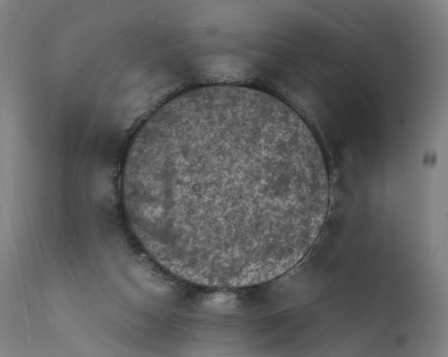 X0000111600162200908061422