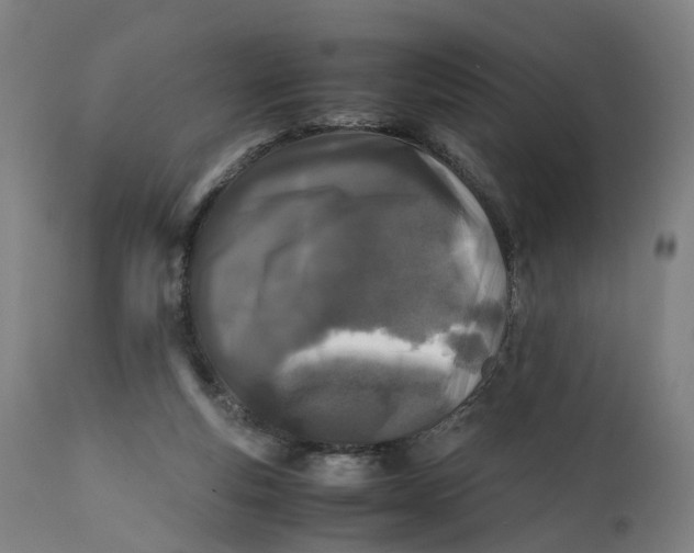 X0000111600163200908061422