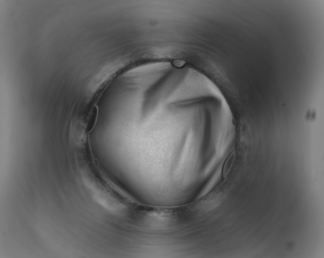 X0000111600164200908061422