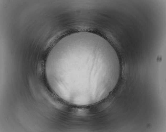 X0000111600165200908061422