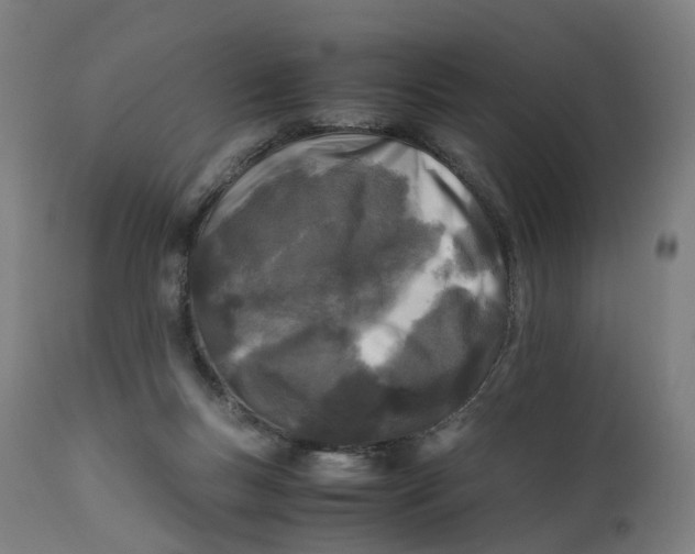 X0000111600167200908061422