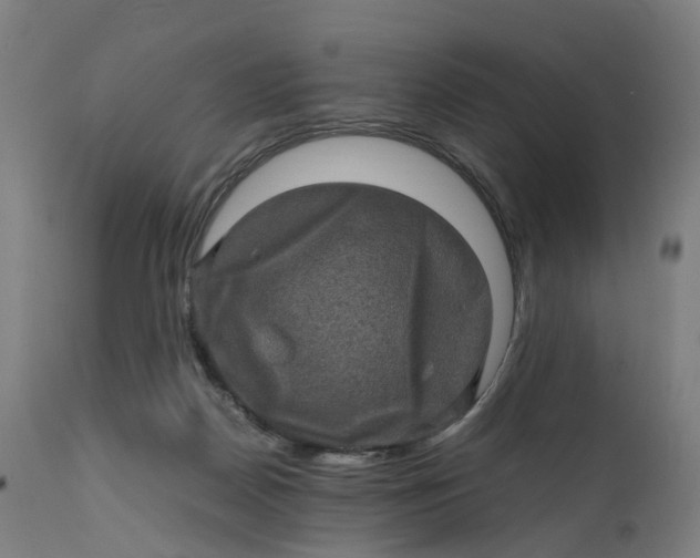 X0000111600170200908061422