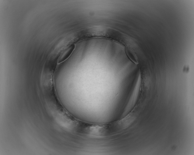 X0000111600172200908061422