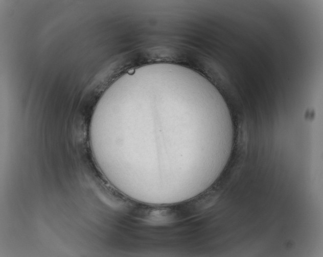 X0000111600173200908061422