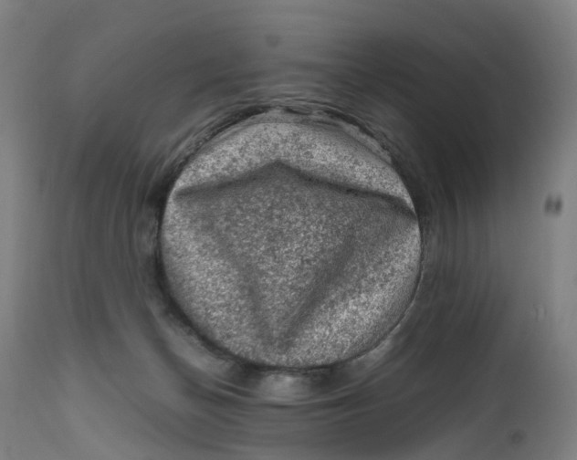 X0000111600174200908061422