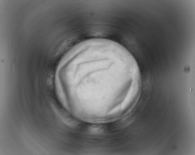 X0000111600175200908061422