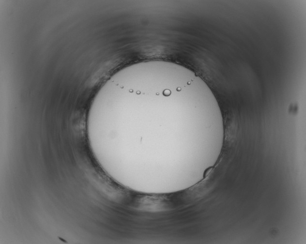 X0000111600179200908061422