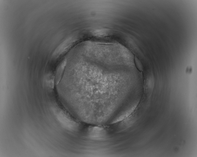 X0000111600180200908061422