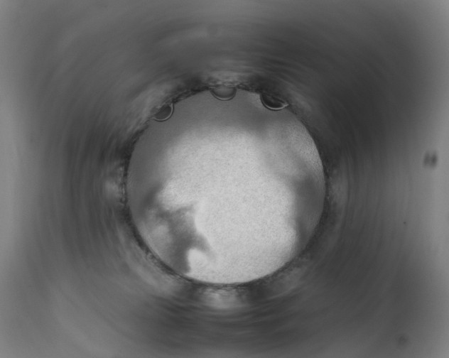 X0000111600181200908061422