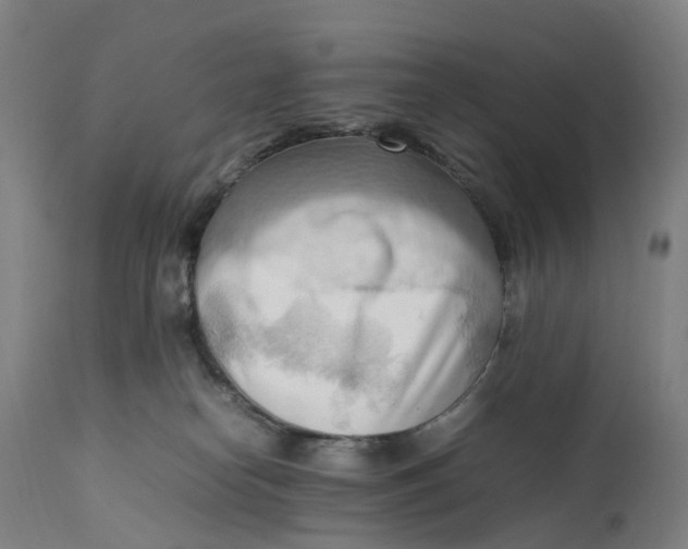 X0000111600182200908061422