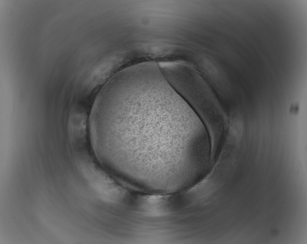 X0000111600184200908061422