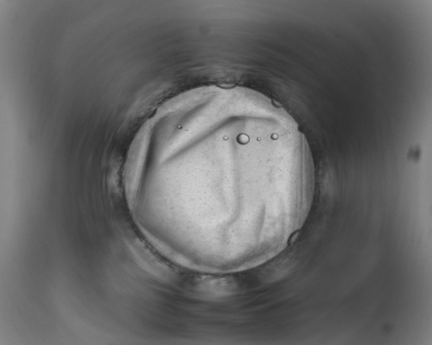 X0000111600185200908061422