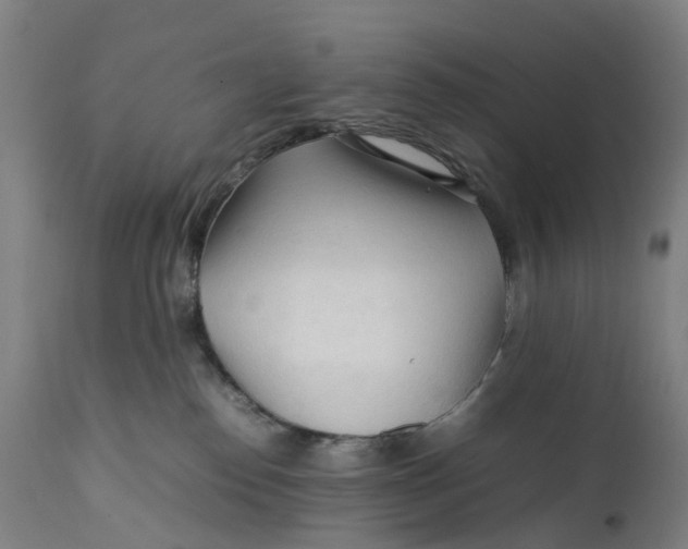 X0000111600186200908061422