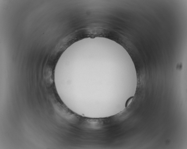 X0000111600187200908061422