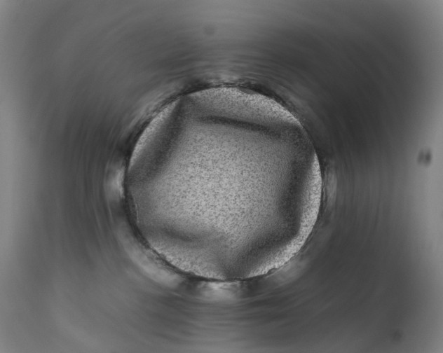 X0000111600188200908061422