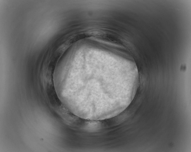 X0000111600189200908061422