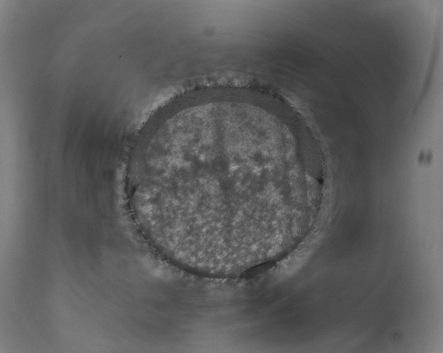 X0000111600192200908061423