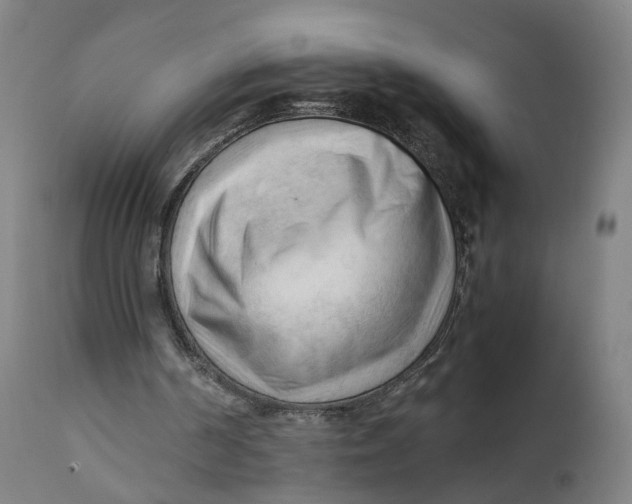 X0000111600194200908061422