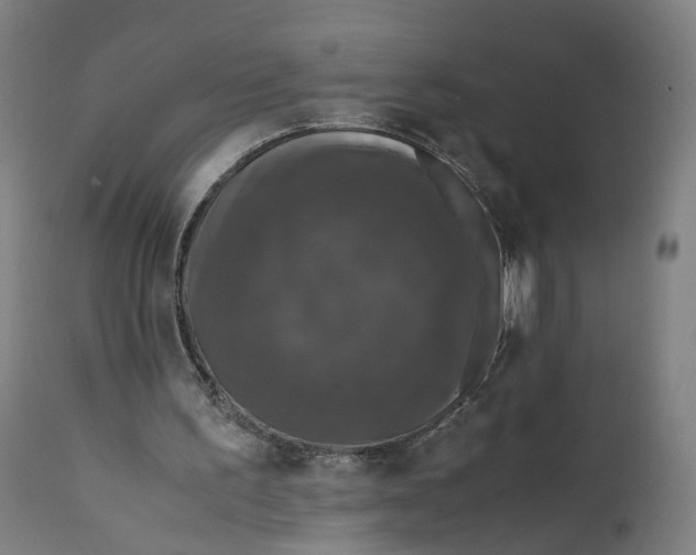 X0000111600195200908061422