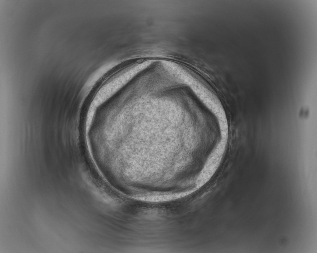 X0000111600200200908061422