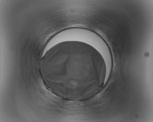 X0000111600201200908061422