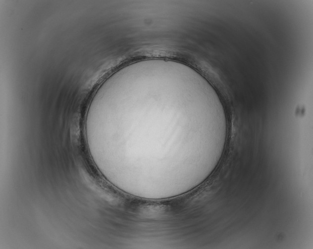 X0000111600202200908061422