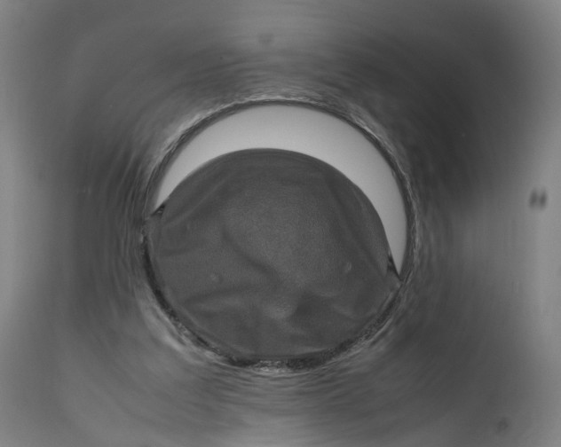 X0000111600203200908061422