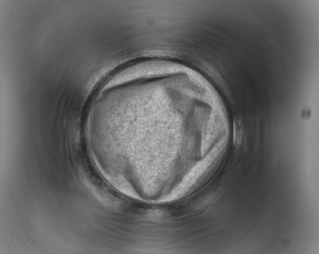 X0000111600204200908061422